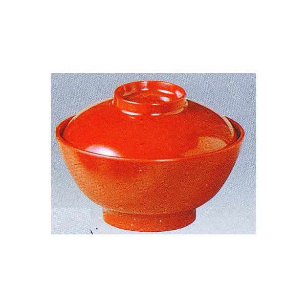 {@GebN@~H@NO.13BiԁjJX~^`op(t^jӁg͕ʔ