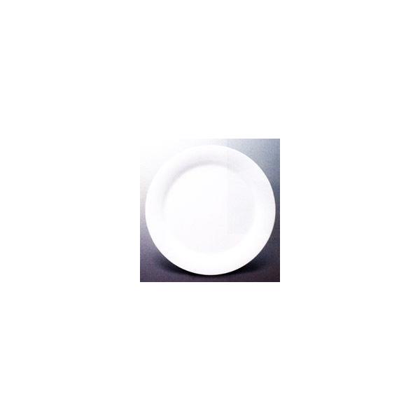 X[C~H ipzCgjfBi[M26cm@261×22mmiԁFN-1101PW@m̊EM