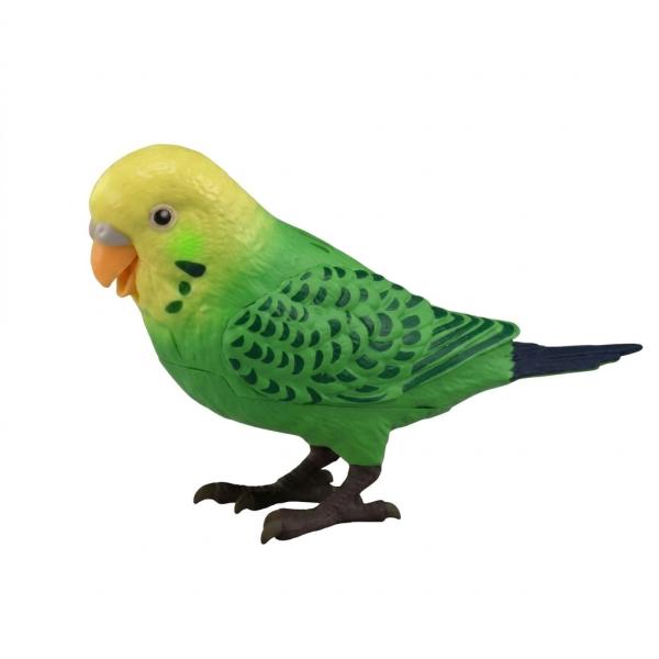 タカラトミー 天才インコちゃん 毎日おしゃべり 脳トレやゲームもできる 自宅遊び 在宅応援 ステイホーム おうち時間 ストレス緩和