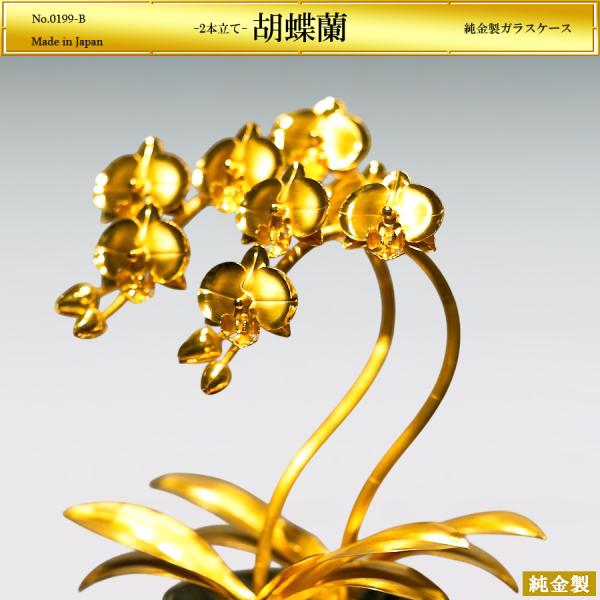 hikarigallery_0199-b