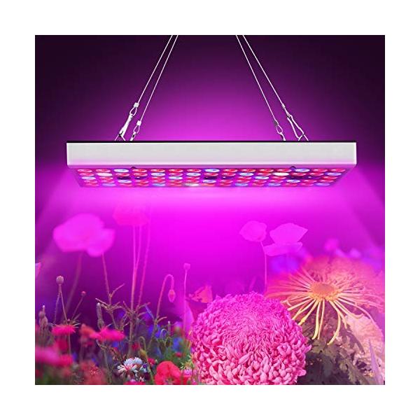 植物育成ライト 25w育成ランプキットフルスペクトル高効率ledチップ付きuv 期間限定の激安セール Ir赤青開花育成ライト屋内水耕栽培温室野菜植物と花 種まきから