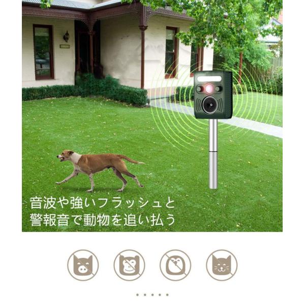 猫よけ ねずみ駆除 動物撃退器 超音波 害虫駆除器 害獣撃退 糞被害 庭園保護 最新アイテム 犬除け 猫除け ネズミよけ 鳥除け 鳥害対策 Usb充電式