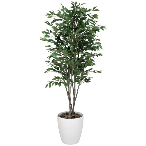 光触媒加工のベンジャミンツリー1.8mで癒し空間