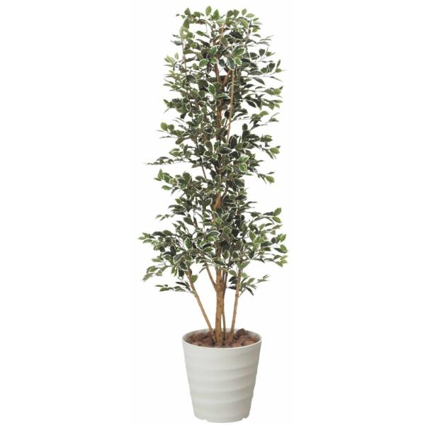 光触媒 光の楽園ガジュマルタワーg W 高さ 1 7ｍ インテリアグリーン 大型 人工観葉植物 160b430 160a400 造花と観葉植物の専門店 光の楽園