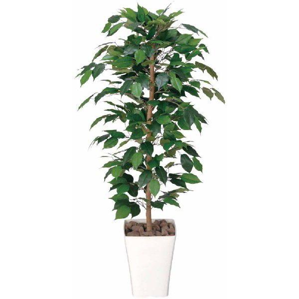 光触媒 光の楽園フィカスベンジャミン 1 2m インテリアグリーン 人工観葉植物 1a170 造花と観葉植物の専門店 光の楽園