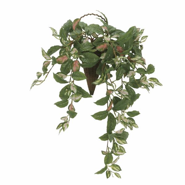 光触媒 光触媒　人工観葉植物　ウォールグリーン　フェイクグリーン　壁掛け　ツートンホヤ 人工観葉植物 壁掛け402053 フェイクグリーン ウォールグリーン フラワー・ガーデニング