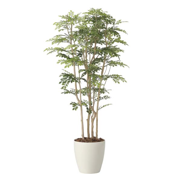 光触媒　人工観葉植物　人工観葉植物　フェイクグリーン　トネリコ1.8m フェイクグリーン 光触媒 光の楽園 ツートントネリコ1.8 人工
