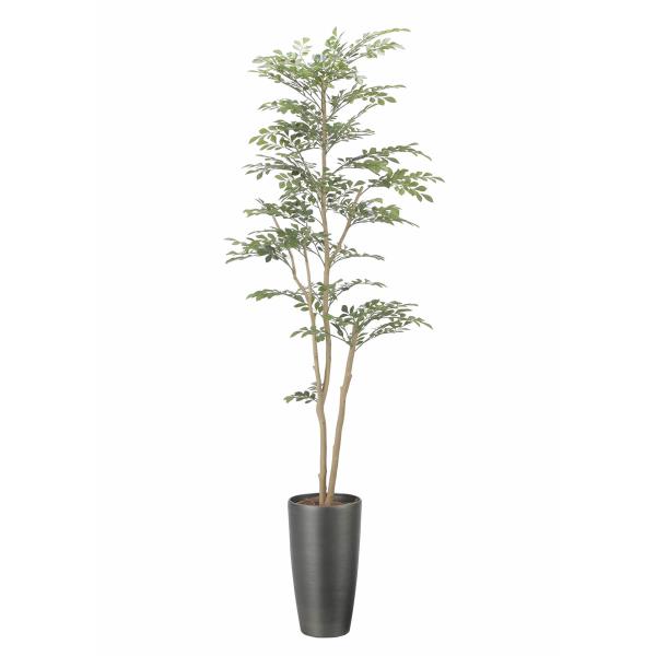 光触媒　人工観葉植物　人工観葉植物　フェイクグリーン　トネリコ1.8m フェイクグリーン 光触媒 光の楽園 スリムトネリコ1.8m【ラッピング