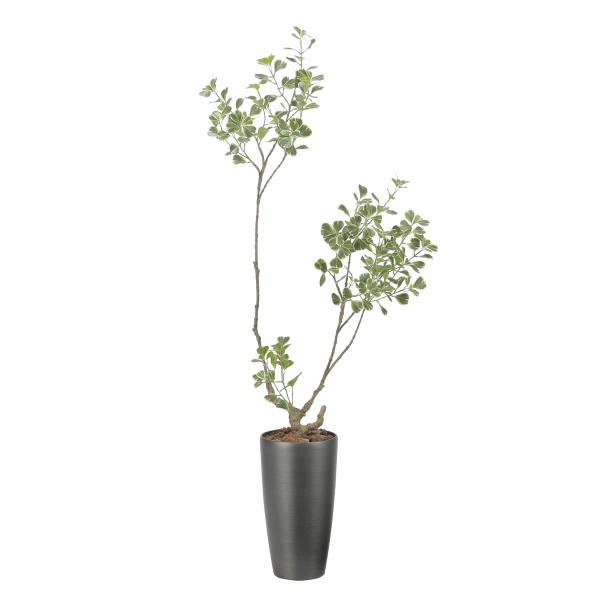 光触媒　人工観葉植物　フェイクグリーン　スリムフィカストライアングル フェイクグリーン 光触媒 光の楽園 スリムフィカストライアングル1.6m