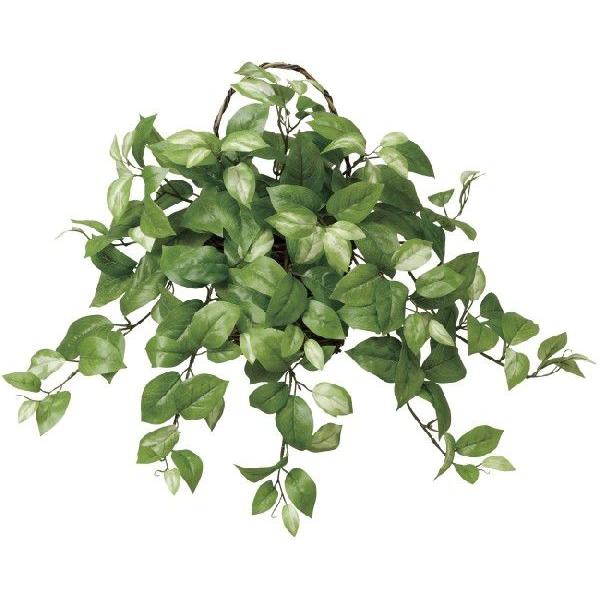 光触媒 光の楽園壁掛ホヤ インテリアグリーン 人工観葉植物 268a60 造花と観葉植物の専門店 光の楽園