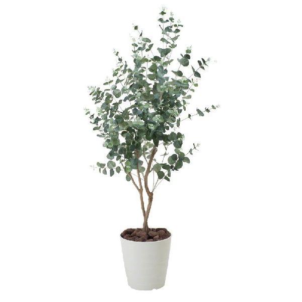 光触媒 光の楽園ユーカリ1 25m インテリアグリーン 人工観葉植物 370a180 造花と観葉植物の専門店 光の楽園