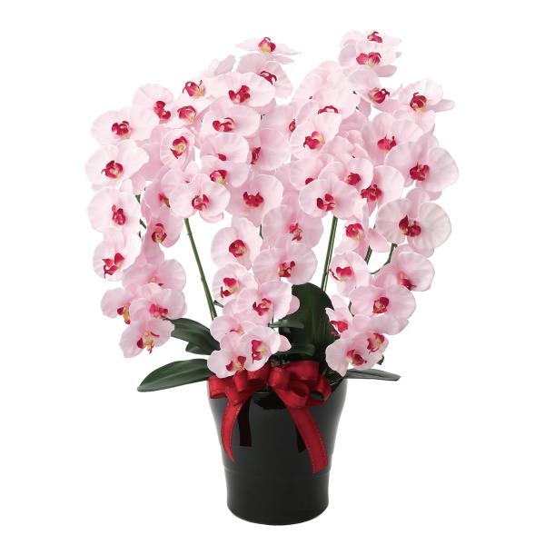 信頼の光触媒造花・人工観葉植物のブランド「光の楽園」消臭・抗菌効果のある、光触媒「V-CAT」を使用し、お部屋のインテリアや各種お祝いのギフト（プレゼント）として、新築祝い・開店祝い・開業祝い・開院祝い・引越し祝い・母の日・敬老の日・誕生日...