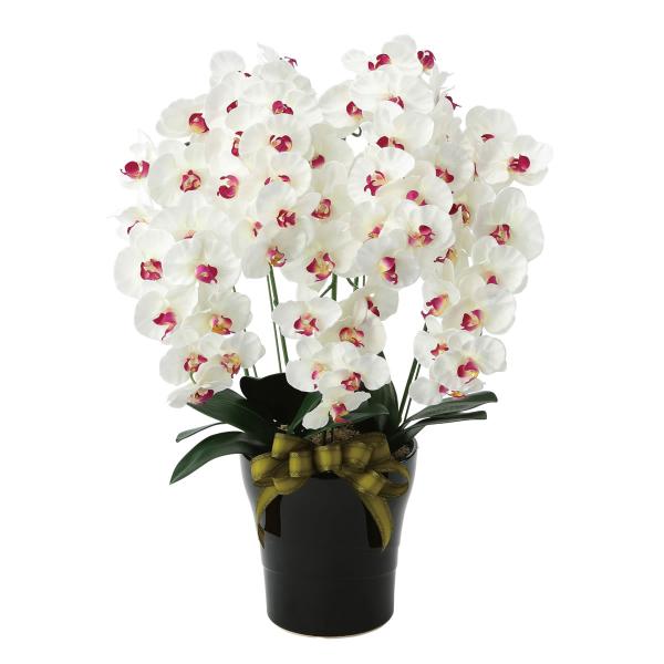 信頼の光触媒造花・人工観葉植物のブランド「光の楽園」消臭・抗菌効果のある、光触媒「V-CAT」を使用し、お部屋のインテリアや各種お祝いのギフト（プレゼント）として、新築祝い・開店祝い・開業祝い・開院祝い・引越し祝い・母の日・敬老の日・誕生日...