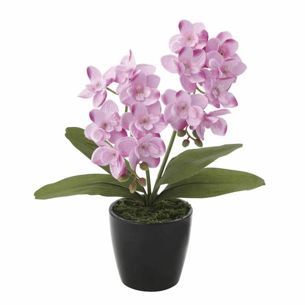 光触媒 人工観葉植物 紫陽花とデルフィニウム デルフィニウム デルフィニューム 造花 人工観葉植物 91cm 2本