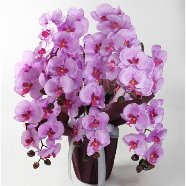 信頼の光触媒造花・人工観葉植物のブランド「光の楽園」消臭・抗菌効果のある、光触媒「V-CAT」を使用し、お部屋のインテリアや各種お祝いのギフト（プレゼント）として、新築祝い・開店祝い・開業祝い・開院祝い・引越し祝い・母の日・敬老の日・誕生日...