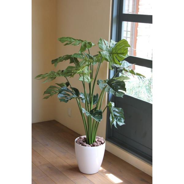 光触媒 光の楽園モンステラ 1 3m インテリアグリーン 人工観葉植物 Acn075 造花と観葉植物の専門店 光の楽園