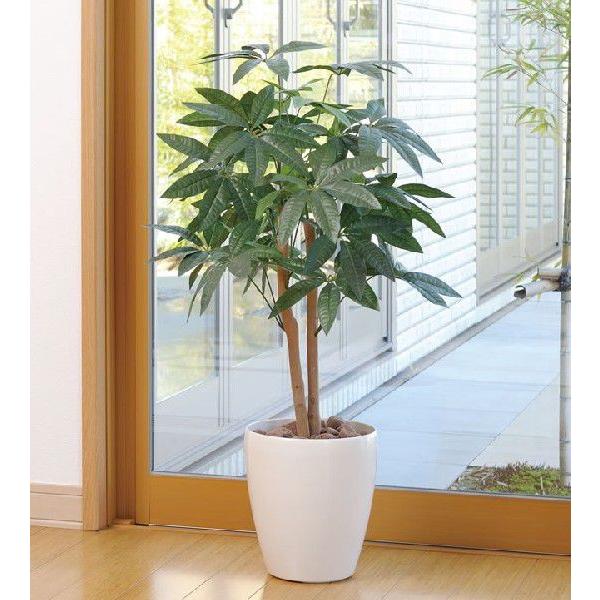 光触媒 観葉植物 パキラ 90 Acn0 光触媒人工植物 光の楽園yahoo 店 通販 Yahoo ショッピング