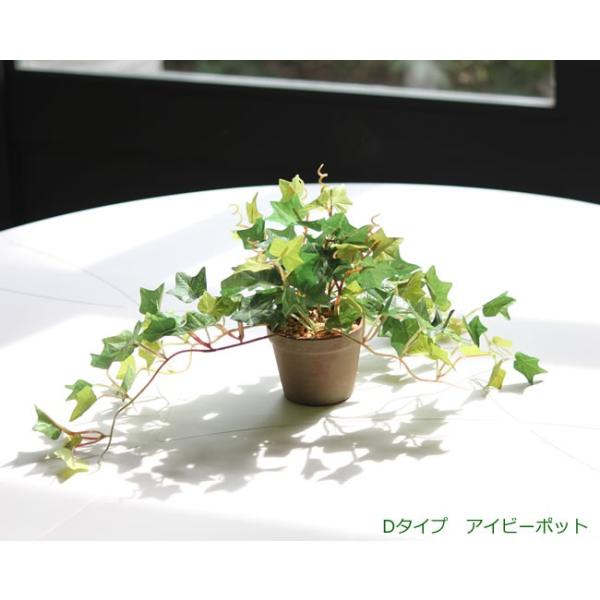 光触媒 観葉植物 アイビーポット Buyee Buyee Japanese Proxy Service Buy From Japan Bot Online