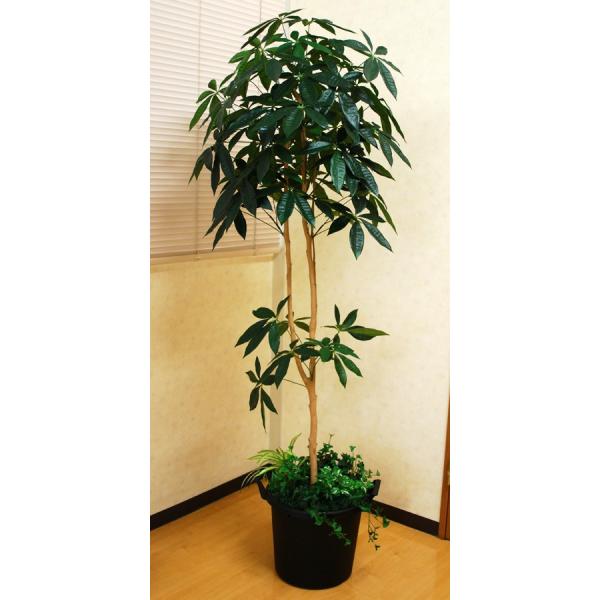 フェイクグリーン 光の楽園 光触媒 人工観葉植物 パキラツリー1.8m