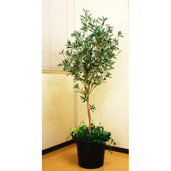 フェイクグリーン 光の楽園 光触媒 人工観葉植物 オリーブ1.6m : 光の