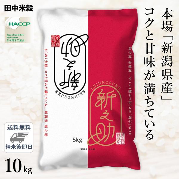 米 精米 お米 おこめ こめ 食品 新米 当店のイチオシ