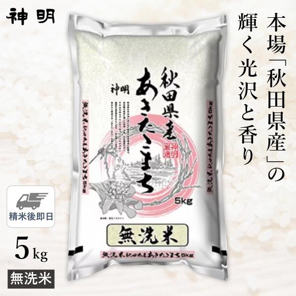秋田県産　無洗米　あきたこまち 令和7年産 無洗米 秋田県産 あきたこまち 5kg(1袋) 神明 日本の米卸No