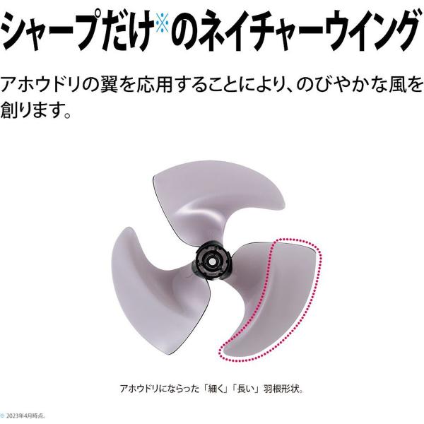 hikaritv_2010124197_4_d_20240318164402