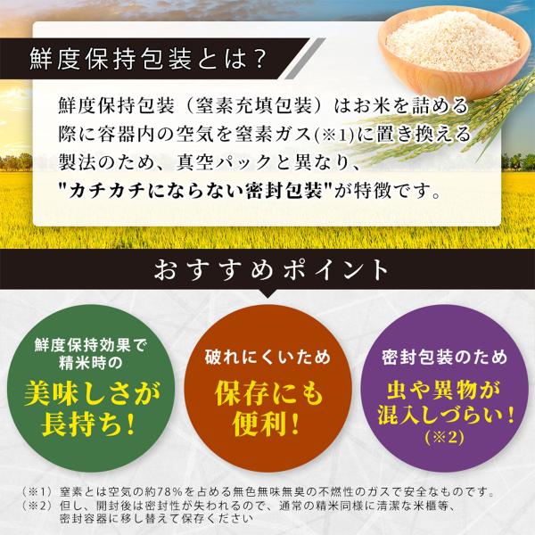 hikaritv_2010128383_1_d_20251216174117