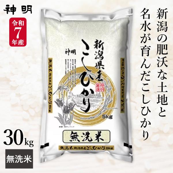 令和7年産 無洗米 新潟県産 コシヒカリ 30kg(5kg×6袋) まとめ買い 神明