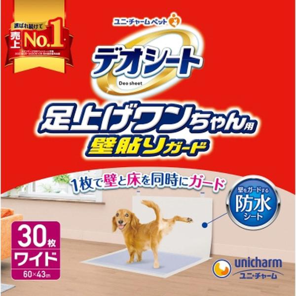 hikaritv_4880000413