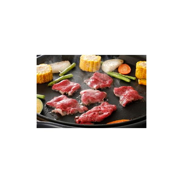 長野県農協直販南信ミートパックセンター 【冷凍】信州アルプス 長野県農協直販南信ミートパックセンター 【冷凍】信州アルプス
