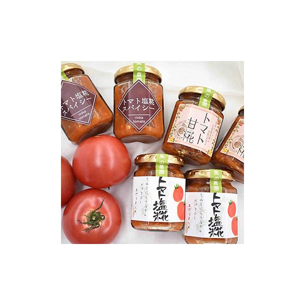 トマト 種 緑の人気商品 通販 価格比較 価格 Com