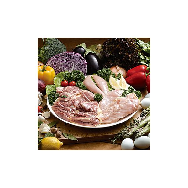 yⓀzYn{(XVbN)@1HZbg(ȈՃpbN)