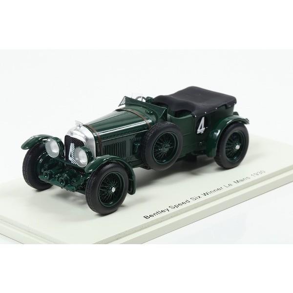 Piccolo カードベントレー Piccolo Cane VENTO（ベント）ピッコロカーネ柄