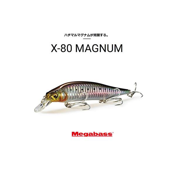 メガバス X-80 マグナム+1 ドチャート メガバス X-80 MAGNUM+1(X-80マグナム+1) HT チャートバックイワシ