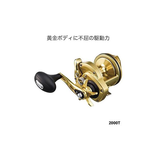 石鯛 リールの人気商品・通販・価格比較 - 価格.com 石鯛 リールの人気商品・通販・価格比較 - 価格.com