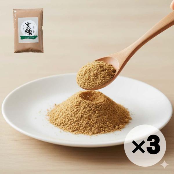 お得な３個セット さとうきびのお砂糖 200g 栄養満点 サンゴカルシウム入り 黒糖 沖縄産100% 玄糖
