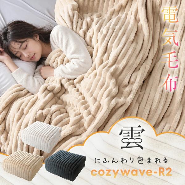 電気毛布 ブランケット  掛敷兼用 10段階温度調節 2サイズ  自動OFF機能付き 静電気防止 99％電磁波カット 低ホルム 省エネ 寒さ対策 ダニ退治 抗菌防臭