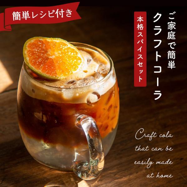 【スパイスセット】クラフトコーラ手作りセット 本格スパイスでつくる 簡単レシピ付き コーラ原液 炭酸 約10杯分