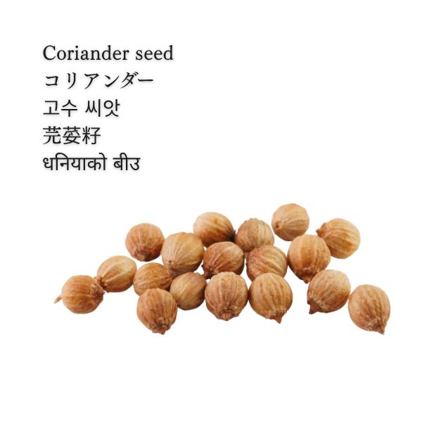 CORIANDER POWDER 100g コリアンダー パウダー パクチー 種 粉状 インド産 商品の厚さ 1cm
