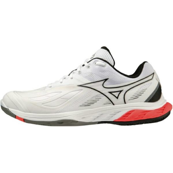 ミズノ バドミントンシューズ メンズ レディース ウエーブファング 2