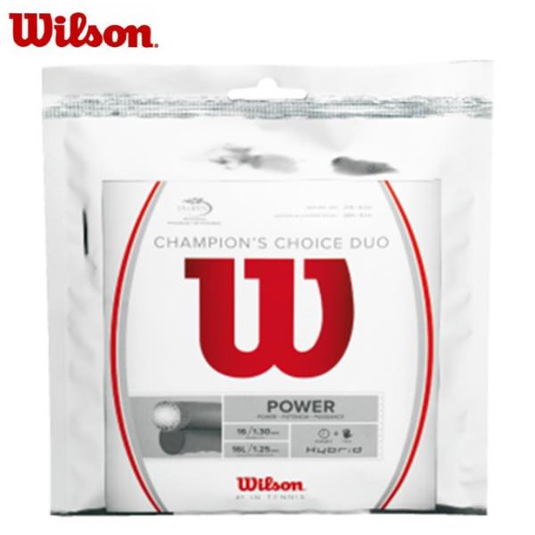 Wilson ウィルソン(Wilson) ハイブリット チャンピオンズ
