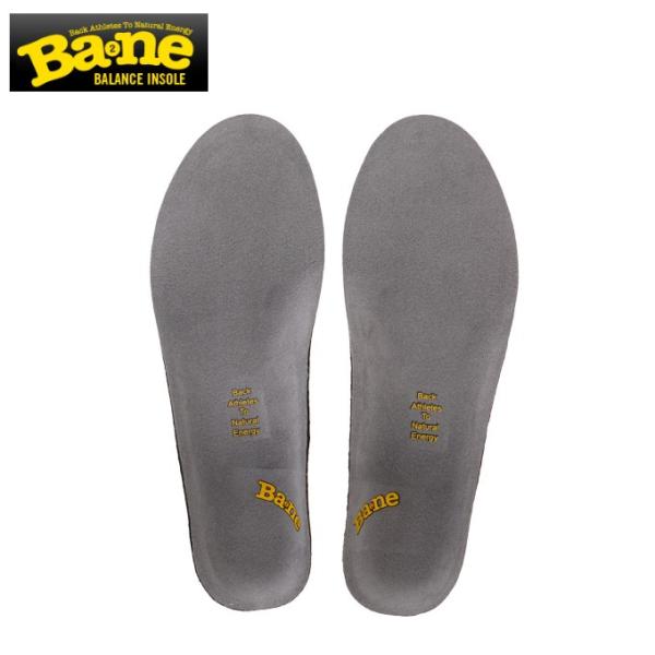 ol Y fB[X C\[ AX[gXL BN00050 BANE ~