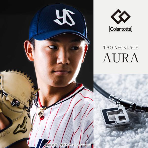 himaraya_0000000659625