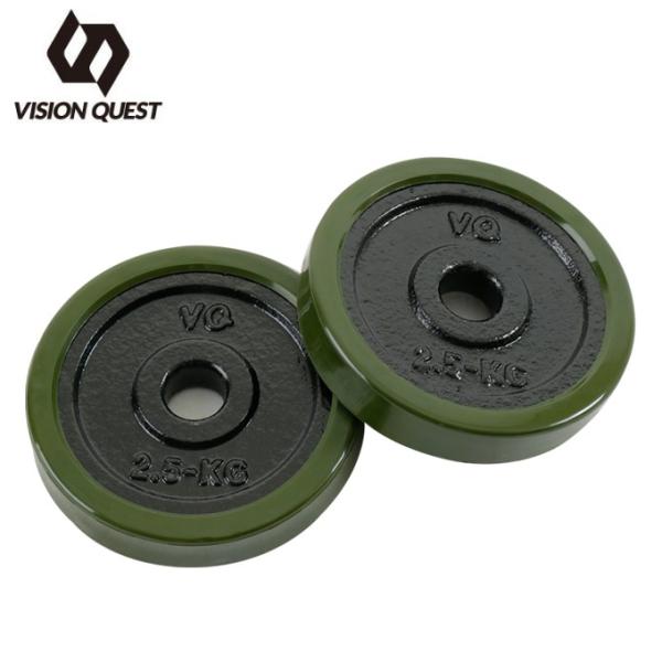 ビジョンクエスト VISION QUEST ダンベルウエイト カバー付きプレート 2.5Kg VQ580104I44