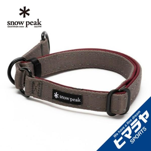 Xm[s[N  SPe[v`[J[M PT-111 snow peak