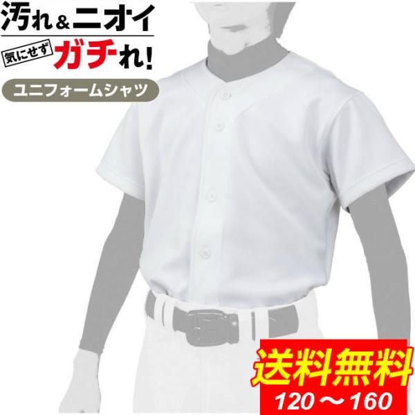 ~Ym 싅 K Vc WjA GACHIpc K`jtH[ GACHIjtH[Vc 12JC2F8001 MIZUNO