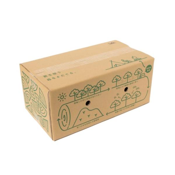 d   HARDWOOD FIREWOOD n[hEbh t@CAEbh Lt̐d VP160506L01 rWs[NX VISIONPEAKS