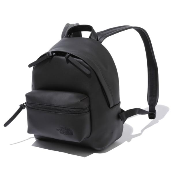 THE NORTH FACE（ザ ノースフェイス） バックパック メンズ レディース 