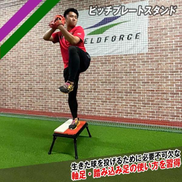 フィールドフォース FPP-1046ST FIELDFORCE 野球 バッティングティー ピッチプレートスタンド FPP-1046ST メーカー直送【ご自宅配送限定】